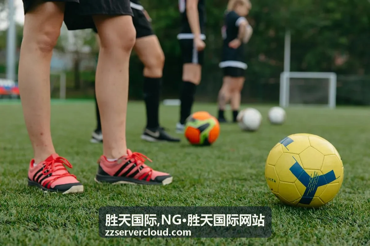 胜天国际网站栏目封面