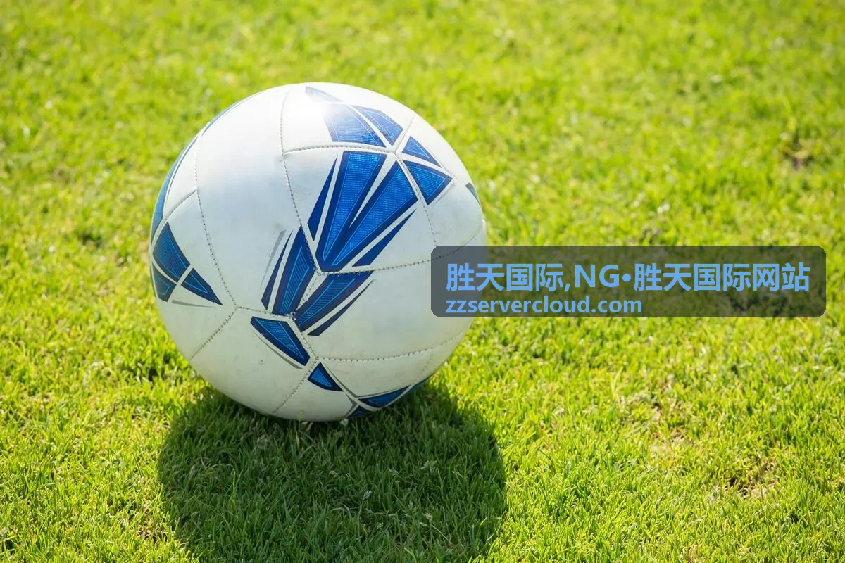 胜天国际网站栏目说明封面