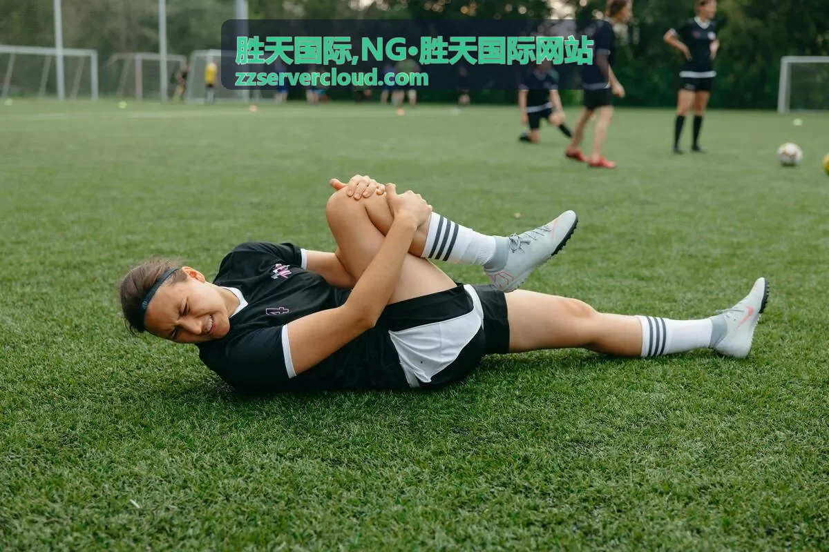 NG·胜天国际网站信息提示封面